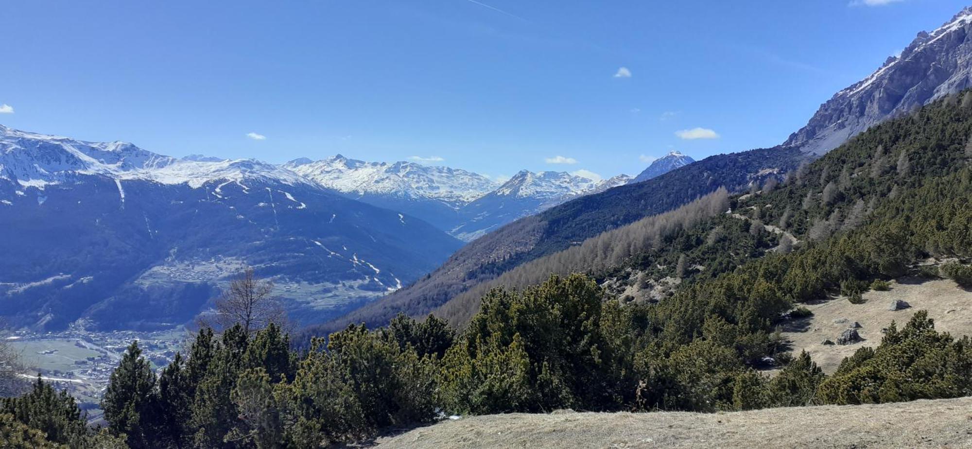 Casa Alu' Lejlighed Bormio Eksteriør billede